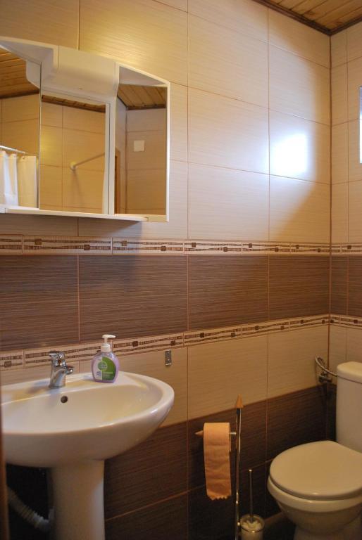 Pensiunea Alexandra Vatra Moldoviţei Habitación foto