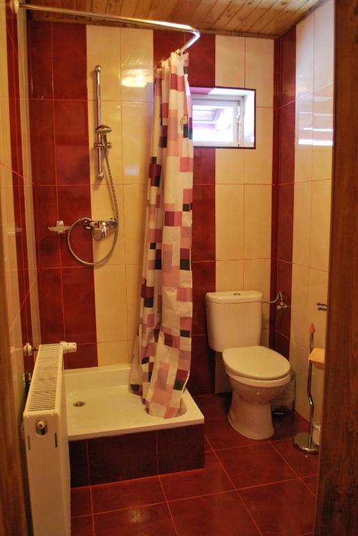 Pensiunea Alexandra Vatra Moldoviţei Habitación foto