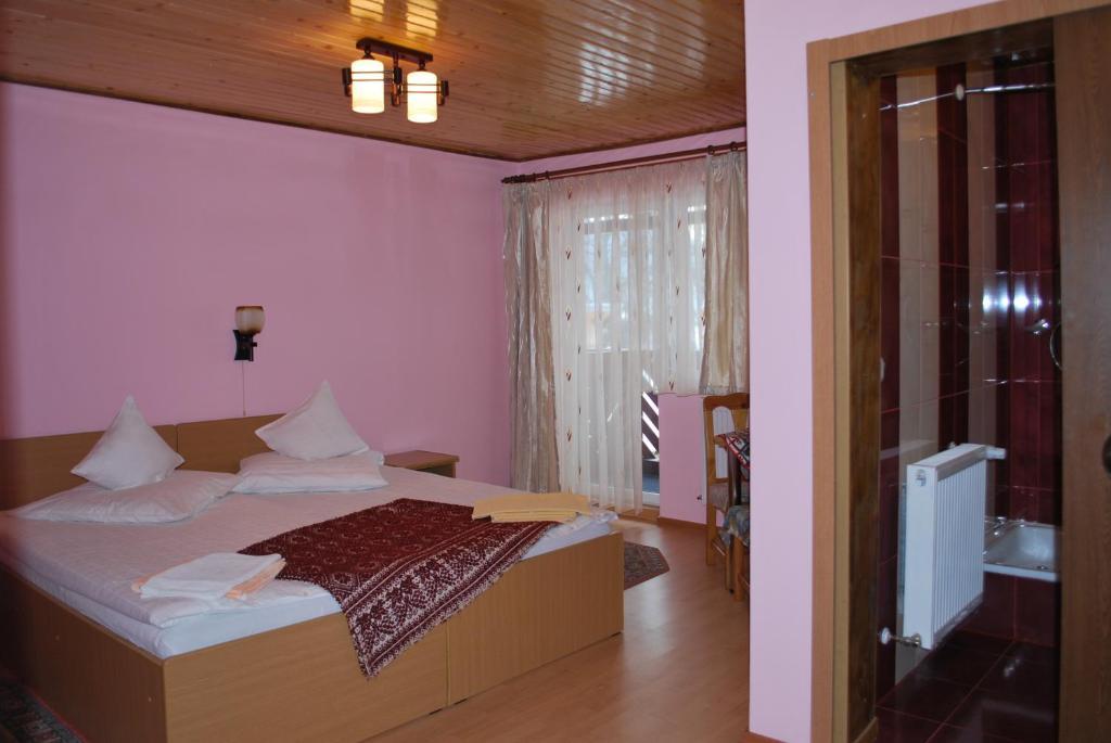 Pensiunea Alexandra Vatra Moldoviţei Habitación foto